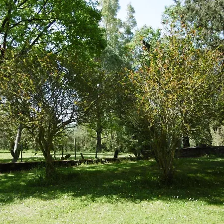 Gospodarstwo agroturystyczne Poggetto Masino Suvereto