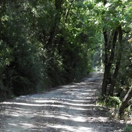 Gospodarstwo agroturystyczne Poggetto Masino