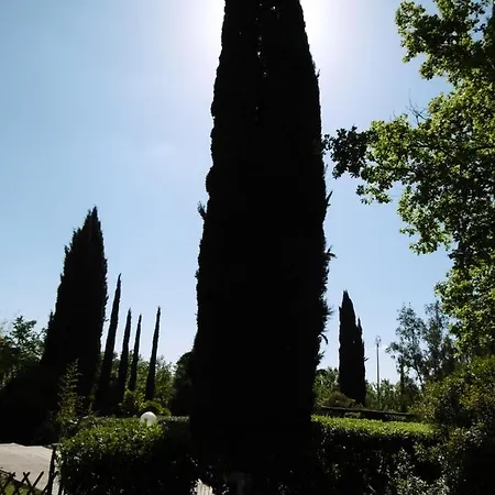 Poggetto Masino Feriegård Suvereto