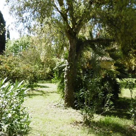 Poggetto Masino Suvereto