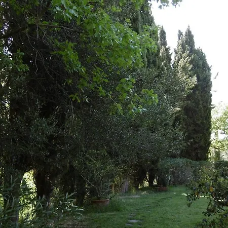 Gospodarstwo agroturystyczne Poggetto Masino