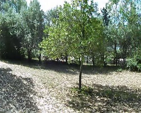 Gospodarstwo agroturystyczne Poggetto Masino