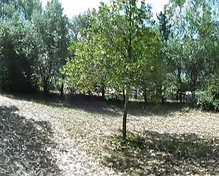 Feriegård Poggetto Masino