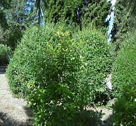 Poggetto Masino Feriegård