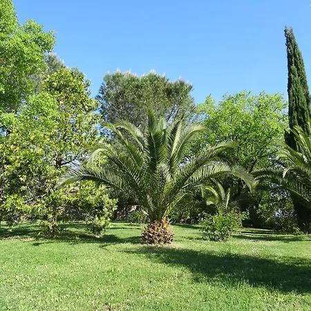 Poggetto Masino Gospodarstwo agroturystyczne *