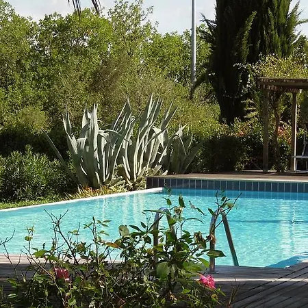 Poggetto Masino Gospodarstwo agroturystyczne *