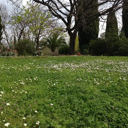 Poggetto Masino * Suvereto