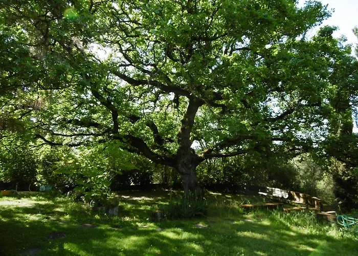 Feriegård Poggetto Masino