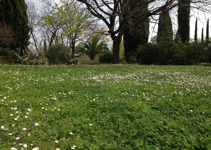 Poggetto Masino * Suvereto